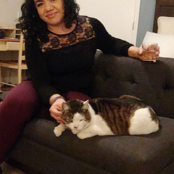 Grass Valley Courtyard Suites - Kimmy and Mongo super friendly kittie! - Hotels Near Me - Grass Valley, California Grass Valley Courtyard Suites - Kimmy and Mongo super friendly kittie! - Hotels Near Me - Grass Valley, California