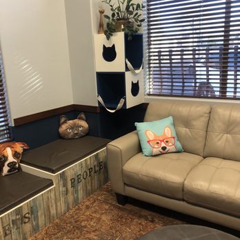 Eyeshine Veterinary - Veterinarians Near Me - Phoenix, Arizona Eyeshine Veterinary - Veterinarians Near Me - Phoenix, Arizona
