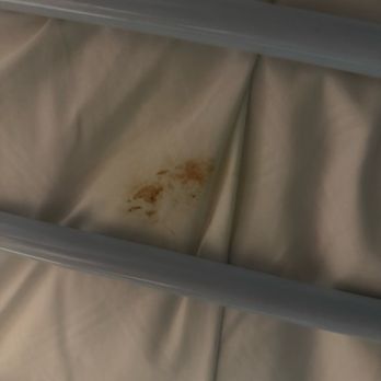 Port A Escapes - Don't even ask. This was on the bunk bed mattress! - Vacation Rentals Near Me - Port Aransas, Texas