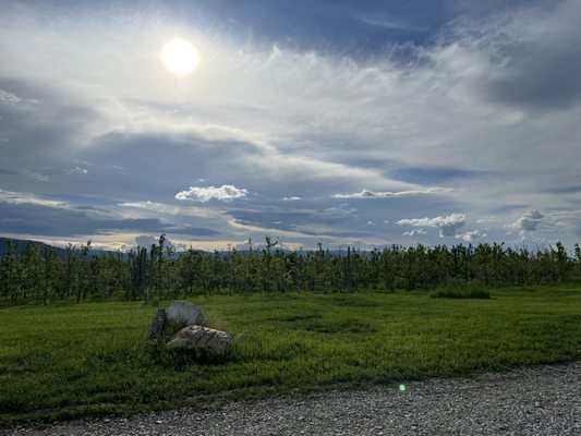 Big Mountain Ciderworks by null