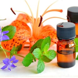 Active Healing Massage & Wellness - My name is Shana. I am a Licensed Massage Therapist. The goal of my work is for you to leave my office feeling relieved and relaxed.