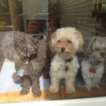 Partners and Paws Veterinary Services - Veterinarians Near Me - Lisle, Illinois