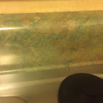 Bahia Resort Hotel - ANTS! - San Diego, CA