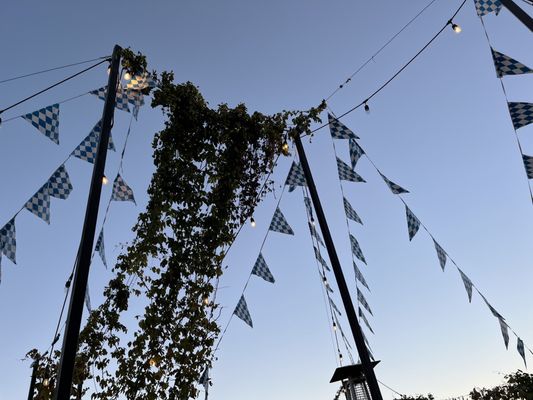 Bathtub Row Brewing Co-op by null