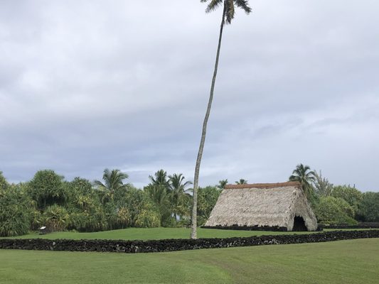 Kahanu Garden, National Tropical Botanical Garden by null