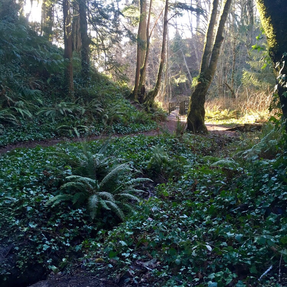 Burfoot Park - Parks Near Me - Olympia, Washington Burfoot Park - Parks Near Me - Olympia, Washington