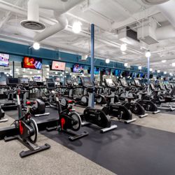 Fitness 19