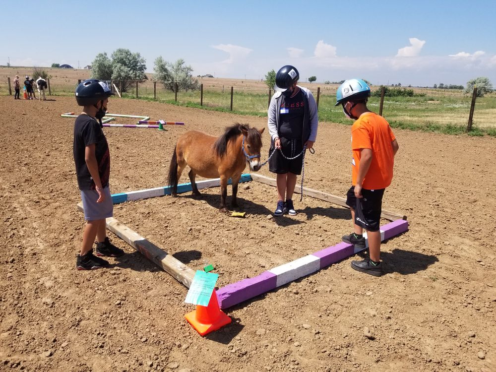 Daisy Chain Sanctuary - equestrian in Brighton, CO