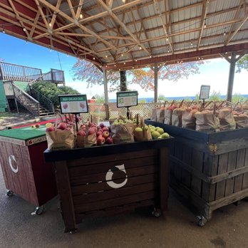 Carter Mountain Orchard - Apples to purchase - Pick Your Own Farms Near Me - Charlottesville, Virginia