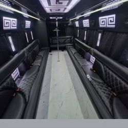 Elegance Concierge - 20 passenger party buss