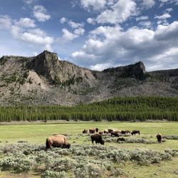 State of Montana - Madsen valley
