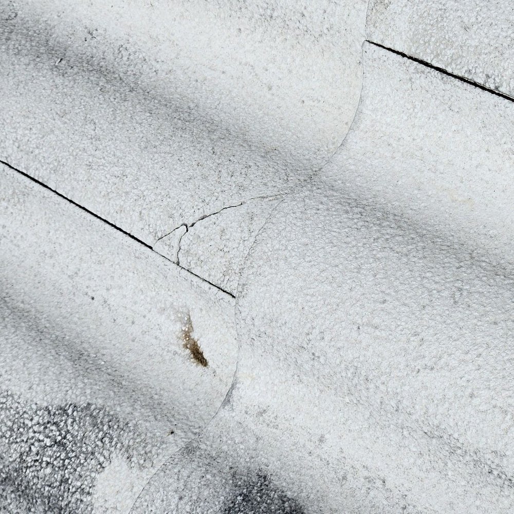 On Demand Pest Control - Pest Control Near Me - Davie, Florida