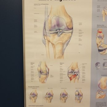 The Orthopedic Clinic Association - Tempe - #knee bone connected to the... - Sports Medicine Near Me - Tempe, Arizona The Orthopedic Clinic Association - Tempe - #knee bone connected to the... - Sports Medicine Near Me - Tempe, Arizona