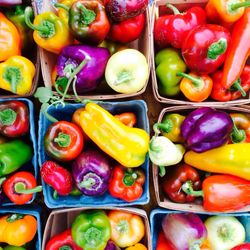 North Union Farmers Market- Shaker Square - Gorgeous heirloom peppers from Covered Bridge Farm
