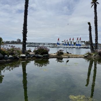 Barefoot Bar & Grill - New American Near Me - San Diego, California