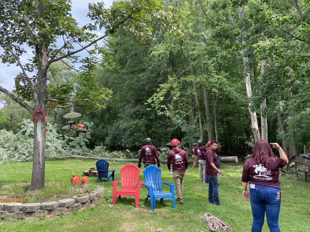 ARBOL TREE SERVICE Updated April 2024 39 Photos & 16 Reviews