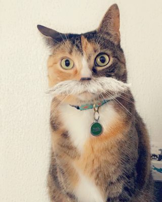 Crate Escape by null