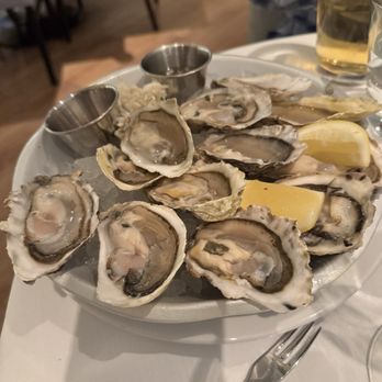 Coast - Oysters - Seafood Near Me - Vancouver, British Columbia