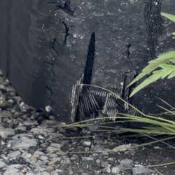 Hertz - Our tire that was deemed "safe" to drive on.