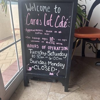 Cara's Cat Cafe - Themed Cafes Near Me - Destin, Florida