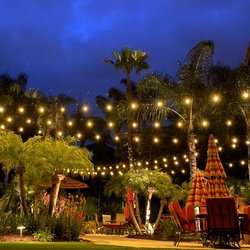 Lightscape Designs - Hanging Lights Installed 4/17/20 - we are hard at work!  Turning your sacred space into your own private resort.