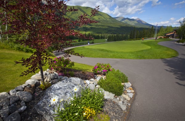 Kananaskis Country Golf Course by null