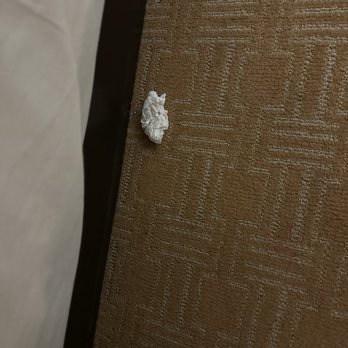 Hampton Inn & Suites Vicksburg - Left over tissue from a previous guest - Hotels Near Me - Vicksburg, Mississippi Hampton Inn & Suites Vicksburg - Left over tissue from a previous guest - Hotels Near Me - Vicksburg, Mississippi