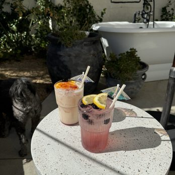 Yara Hotel - Drinks - Hotels Near Me - Palm Springs, California Yara Hotel - Drinks - Hotels Near Me - Palm Springs, California