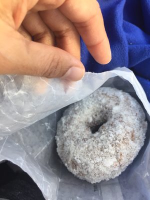 Donut King by null