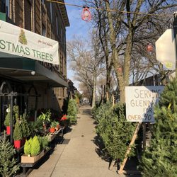 Glendale Christmas Tree Market