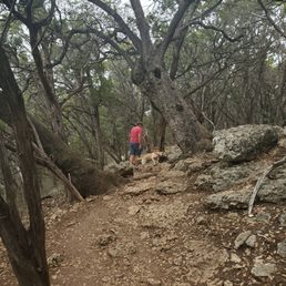 A little elevation