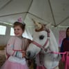 Pony Paradise Rides gift card