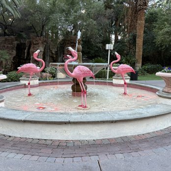 Flamingo Las Vegas - A Caesars Rewards Destination - Hotels Near Me - Las Vegas, Nevada Flamingo Las Vegas - A Caesars Rewards Destination - Hotels Near Me - Las Vegas, Nevada