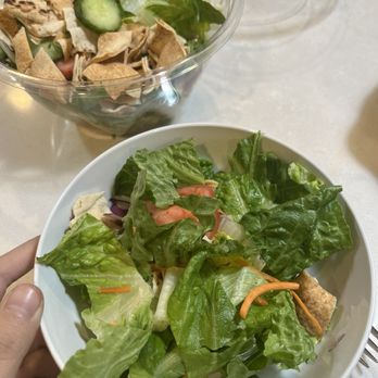 Palm Palace - Fattoush Salad - Middle Eastern Near Me - Ann Arbor, Michigan