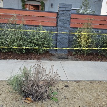 Green Life Tree Service - Dad plant - Tree Services Near Me