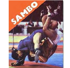 South Mountain Martial Arts Logo