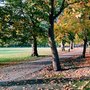 Highbury Fields