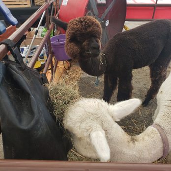 Wisconsin State Fair - Festivals Near Me - West Allis, Wisconsin
