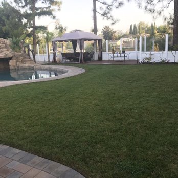 Robert's Complete Care - Backyard main lawn - Landscaping Near Me Robert's Complete Care - Backyard main lawn - Landscaping Near Me