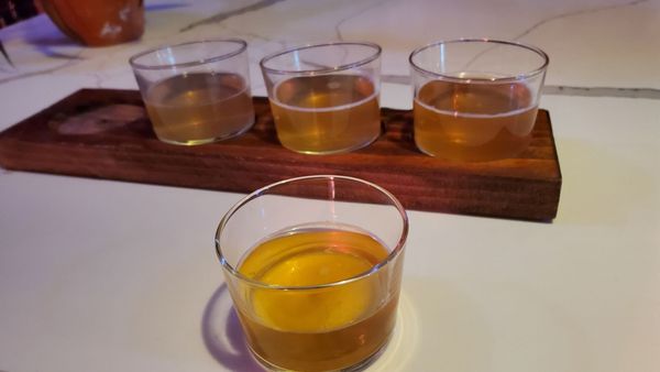 BKE Kombucha by null