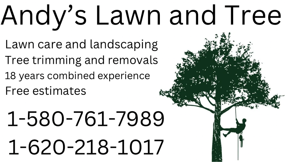 Andy’s Lawn And Tree - tree service in Wichita, KS
