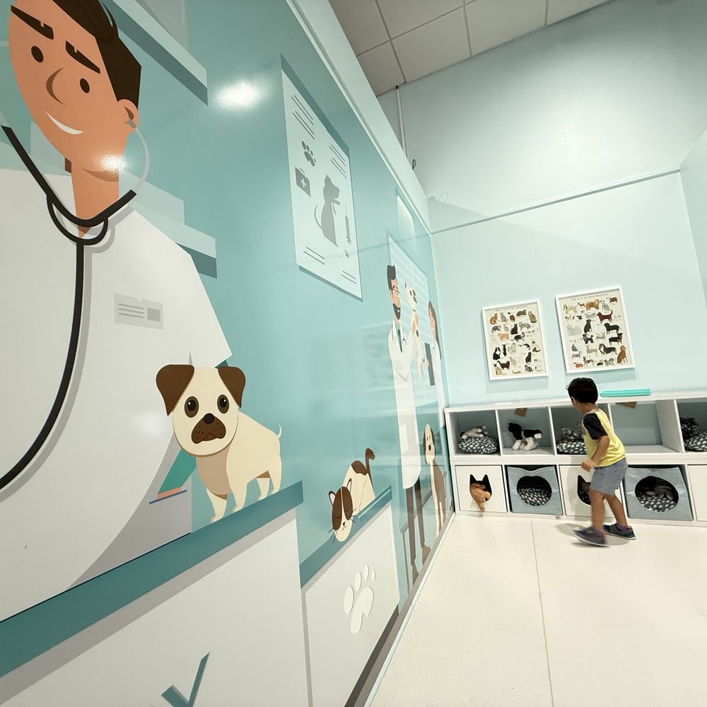 IDEA Museum - Children's Museums Near Me - Mesa, Arizona
