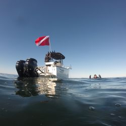 California Dive Guy