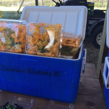 Swank Specialty Produce - Squash blossoms - Herbs & Spices Near Me - Loxahatchee, Florida