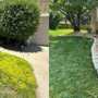 Photo of Palatial Lawn & Landscape