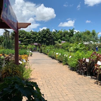 Flamingo Road Nursery - Nurseries & Gardening Near Me - Davie, Florida
