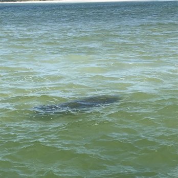 Island Ferry St Pete Beach - Rafting/Kayaking Near Me - Tierra Verde, Florida