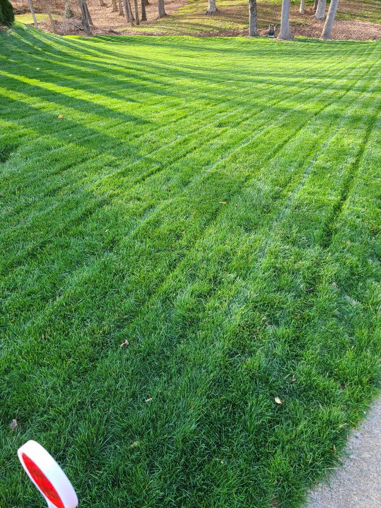 WEBSTER BROS HARDWARE Updated July 2024 19 Photos & 11 Reviews