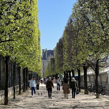 Jardin des Tuileries - Parks Near Me - Paris, 75 Jardin des Tuileries - Parks Near Me - Paris, 75