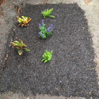 Elite Yard Services - My POLLINATOR garden Maybe in Georgia - Lawn Services Near Me